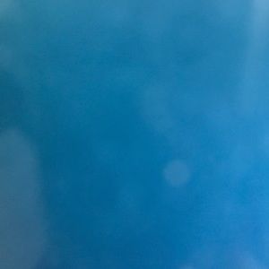 Meet your Posher, Shiloh